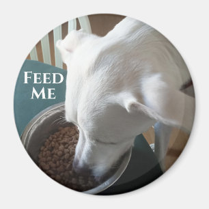 Cute Photo of Hungry Dog Who Can't Wait to Eat Magnet