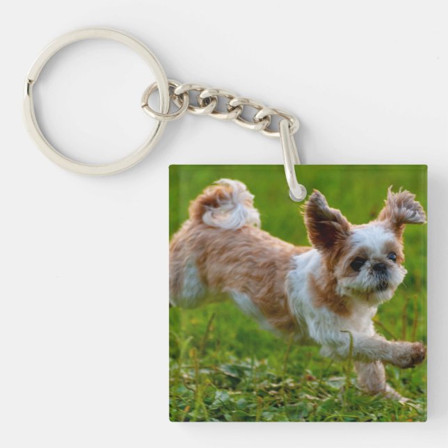 Cute Photo Running Shih Tzu Dog Key Ring (Front)