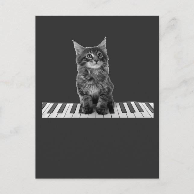 Cute Piano Cat Pianist Keyboard Player Postcard (Front)