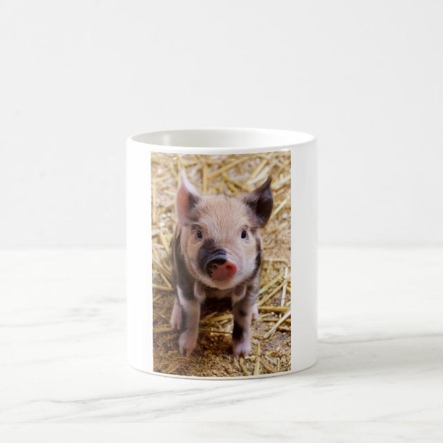 Cute Pic of a baby Pig Coffee Mug (Center)