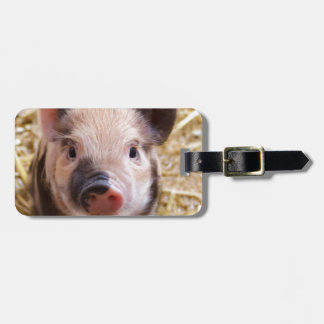 Cute Pic of a baby Pig Luggage Tag
