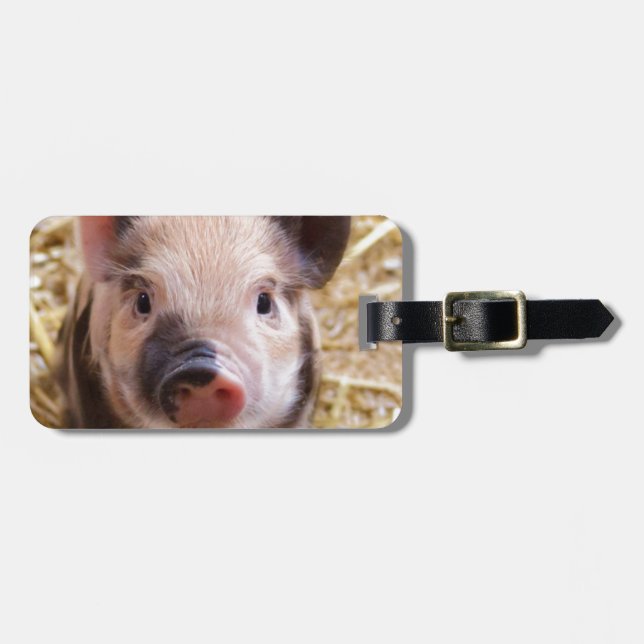 Cute Pic of a baby Pig Luggage Tag (Front Horizontal)