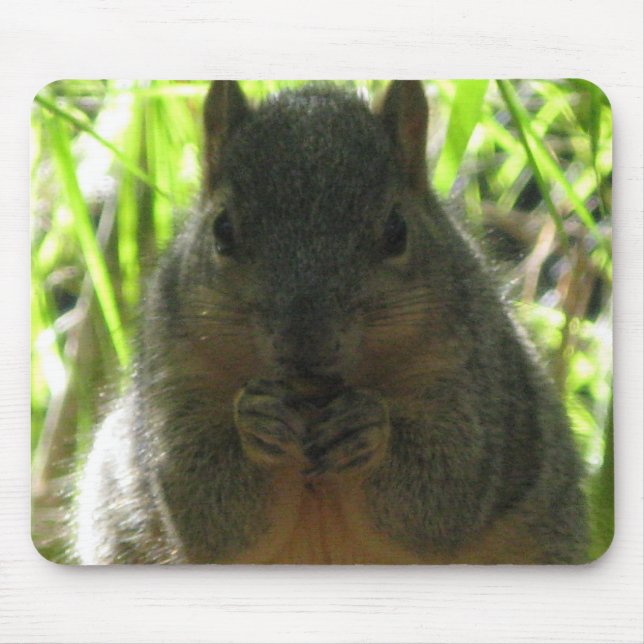 Cute picture of a little squirrel eating a nut mouse pad (Front)