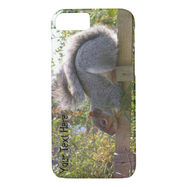 cute picture of grey squirrel sleeping wildlife Case-Mate iPhone case (Back)