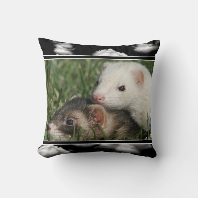 Cute Picture of Sleepy Ferrets Cushion (Front)
