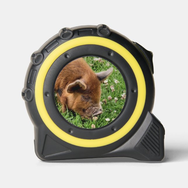 CUTE PIG  1 (Front)