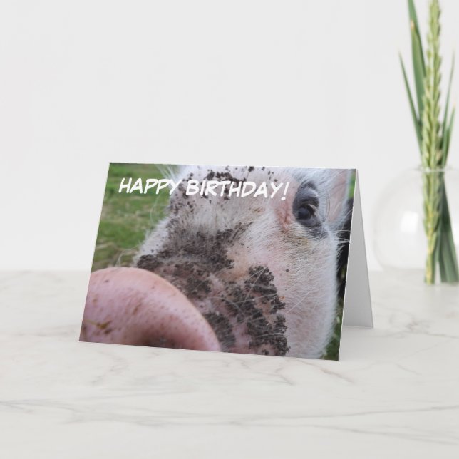 Cute Pig Birthday Card (Front)