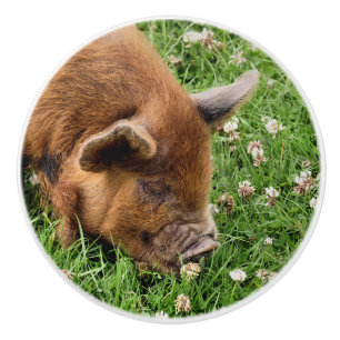CUTE PIG CERAMIC KNOB