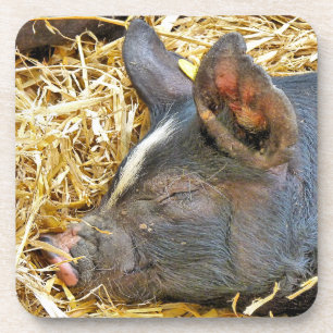 CUTE PIG COASTER