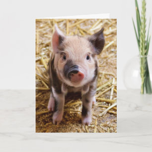 Cute Pig Custom Birthday Card