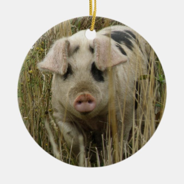 Cute Pig Custom Birthday Ceramic Tree Decoration (Front)