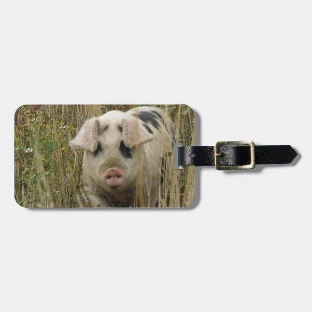 Cute Pig Custom Luggage Tag (Front Horizontal)