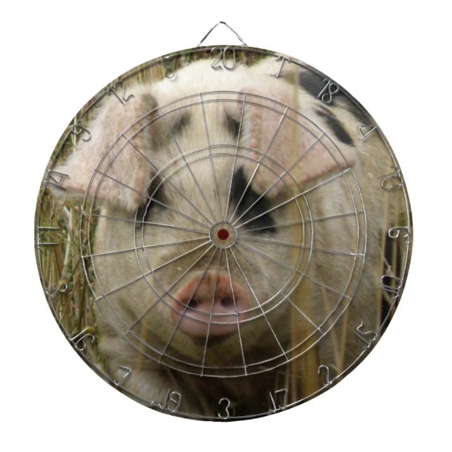 Cute Pig Dart Board (Front)
