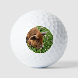 CUTE PIG    GOLF BALLS