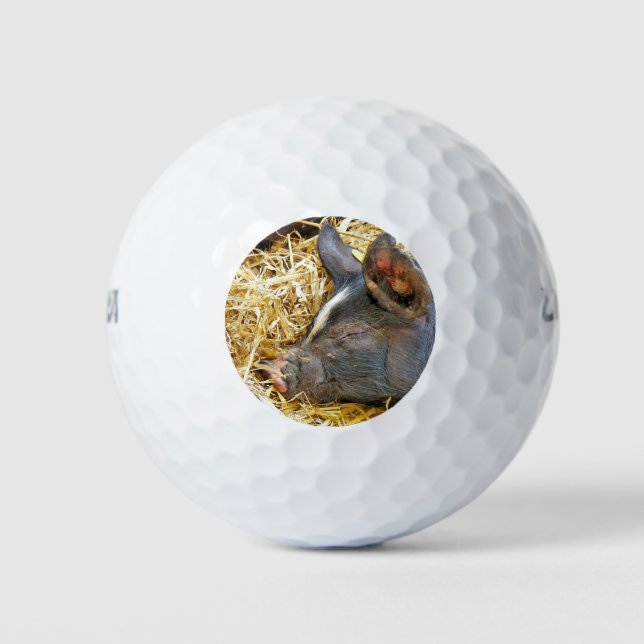 CUTE PIG GOLF BALLS (Front)