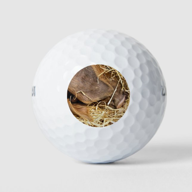 CUTE PIG GOLF BALLS (Front)