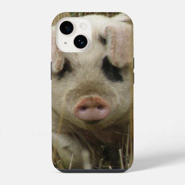 Cute Pig iPhone Case (Back)