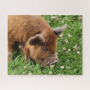 CUTE PIG  JIGSAW PUZZLE