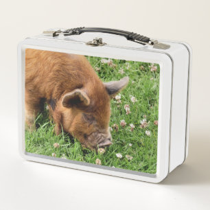 CUTE PIG    METAL LUNCH BOX