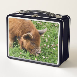 CUTE PIG    METAL LUNCH BOX