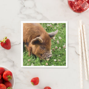 CUTE PIG  NAPKIN