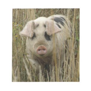 Cute Pig Notepad