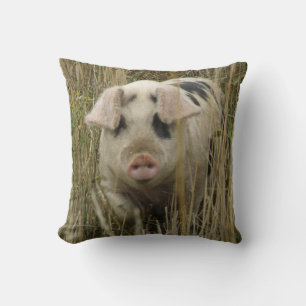 Cute Pig Pillow