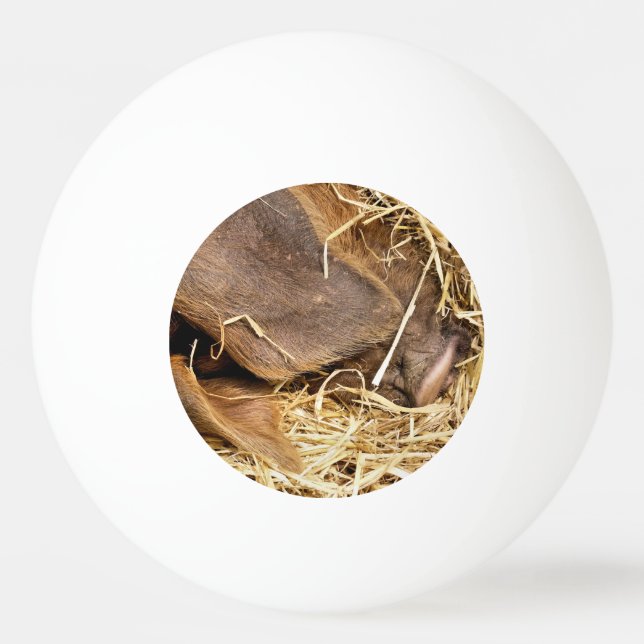 CUTE PIG PING PONG BALL (Front)