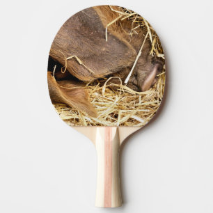 CUTE PIG PING PONG PADDLE