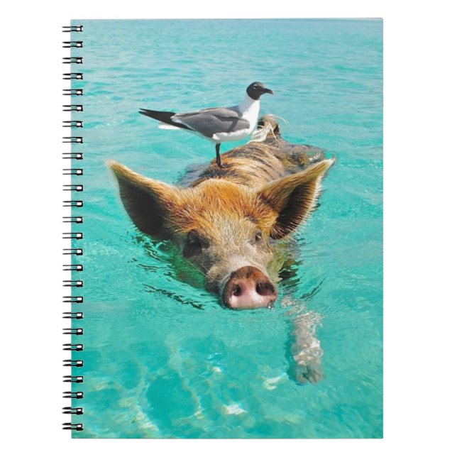 Cute pig swimming in water spiral notebook (Front)
