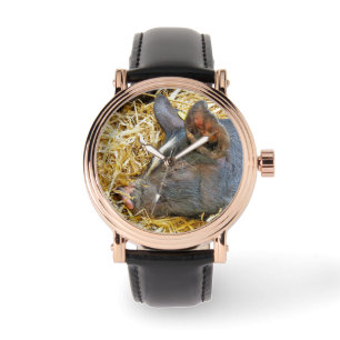 CUTE PIG WATCH