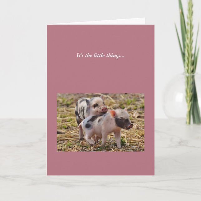Cute Piglets Pig Thank You Note Card (Front)