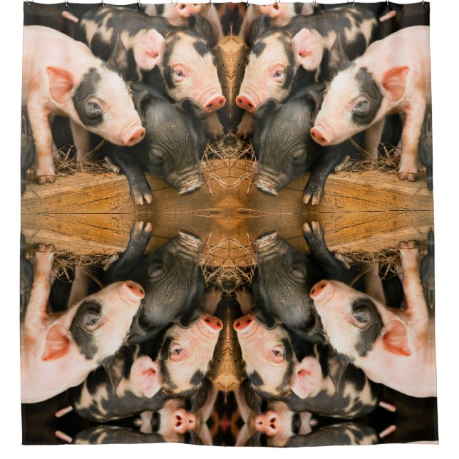 Cute piglets shower curtain (Front)