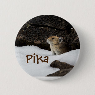 Cute Pika in the Snow Photo 6 Cm Round Badge