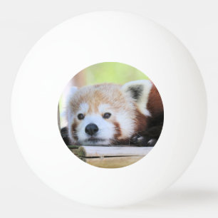Cute Ping Pong Ball