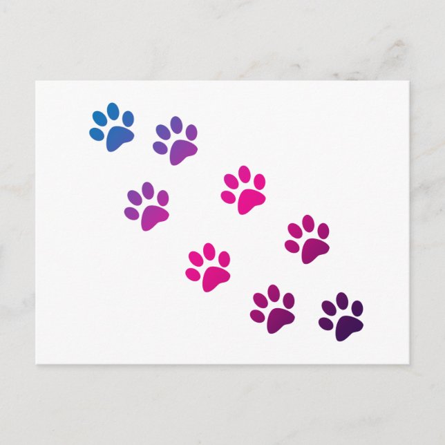 Cute Pink Blue Purple Kitty Cat Paws Postcard (Front)