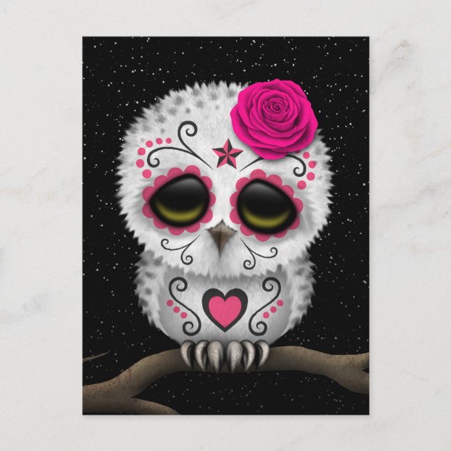Cute Pink Day of the Dead Sugar Skull Owl Stars Postcard (Front)