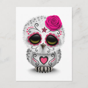 Cute Pink Day of the Dead Sugar Skull Owl White Postcard