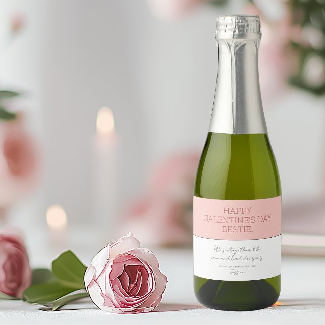 Cute Pink Happy Galentine's Day Partner In Crime Sparkling Wine Label (Cute Pink Happy Galentine's Day Partner In Crime Sparkling Wine Label)
