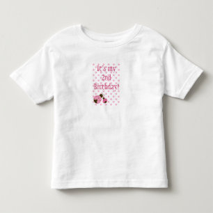 Cute pink lady bug girl's birthday t-shirt