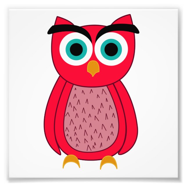 Cute Pink Owl Illustration Photo Print (Front)