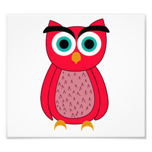 Cute Pink Owl Illustration Photo Print