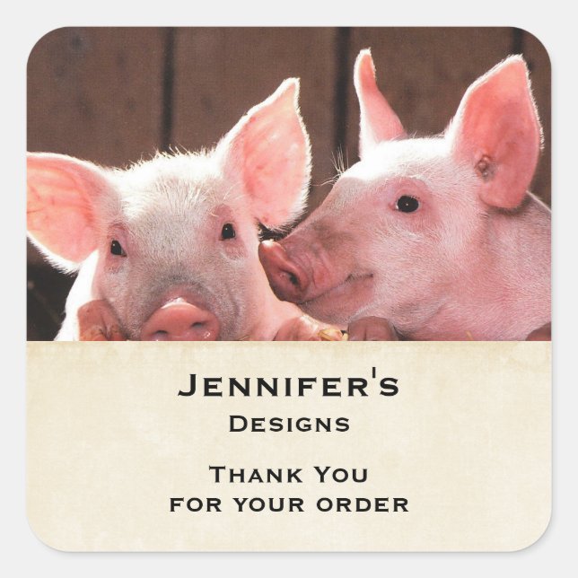 Cute Pink Piglets Animal Photo Business Thank You Square Sticker (Front)