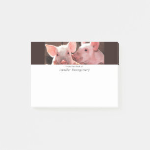 Cute Pink Piglets Animal Photograph Post-it Notes