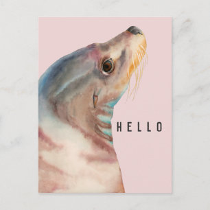 Cute Pink Sea Lion HELLO Postcard