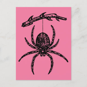 Cute Pink Spider Postcard