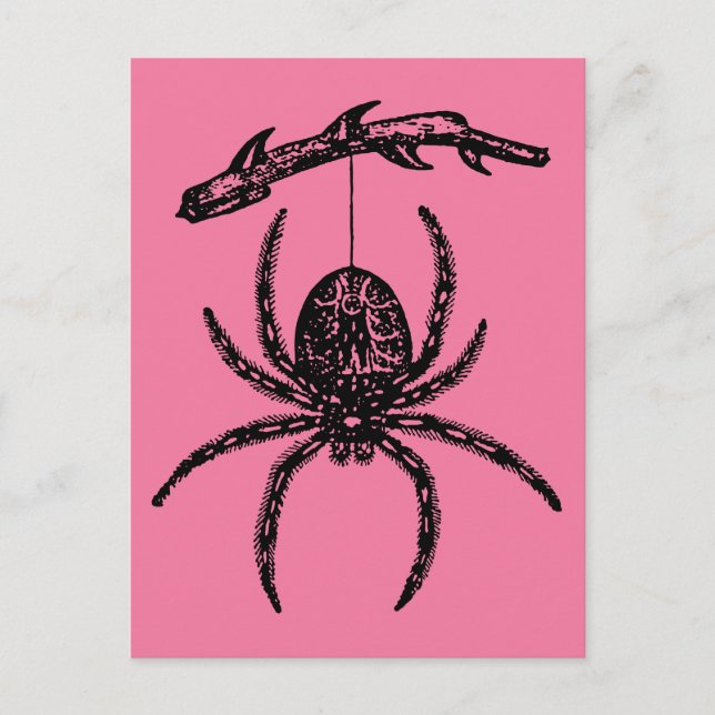 Cute Pink Spider Postcard (Front)