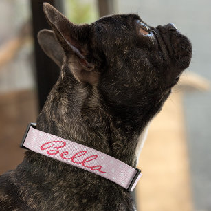 Cute Pink Stars Dog Puppy Doggy Name Personalised Pet Collar