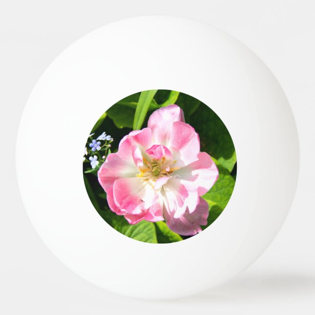 Cute pink tulip ping pong ball (Front)
