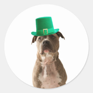 Cute Pit Bull Dog Hat St. Patrick's Day Classic Round Sticker